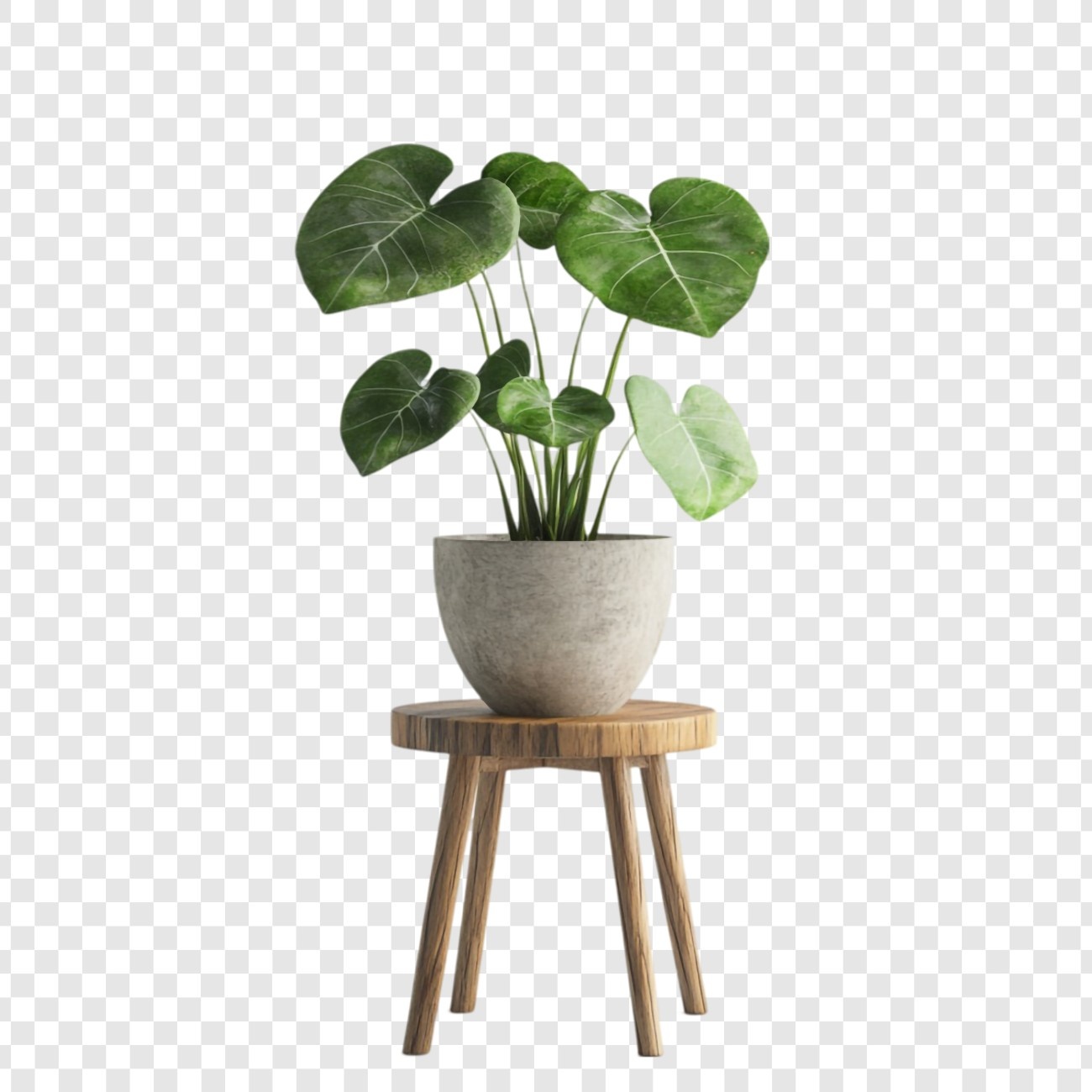 indoor-plant-1